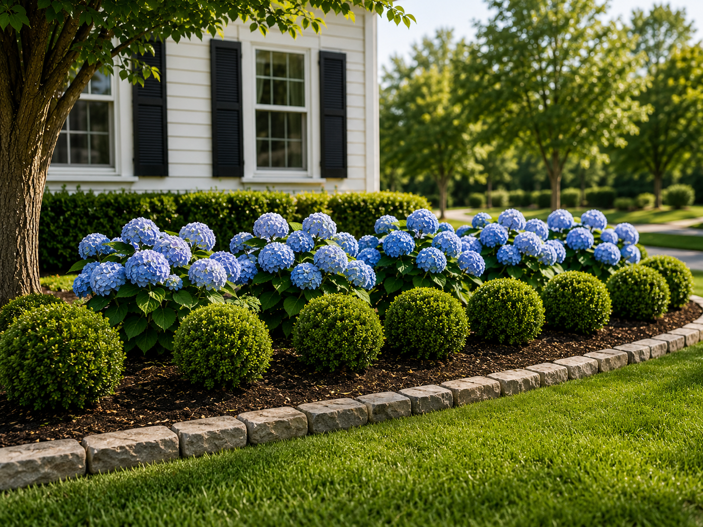 Classic-New-England-Hydrangea-Display