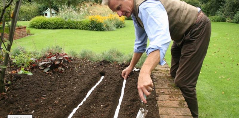 What are Seed Tapes and How Do I Use Them?