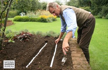 What are Seed Tapes and How Do I Use Them?