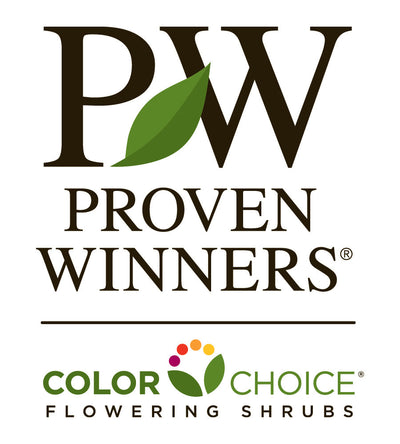 PW Perennial