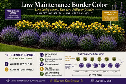 Low-Maintenance Border Color