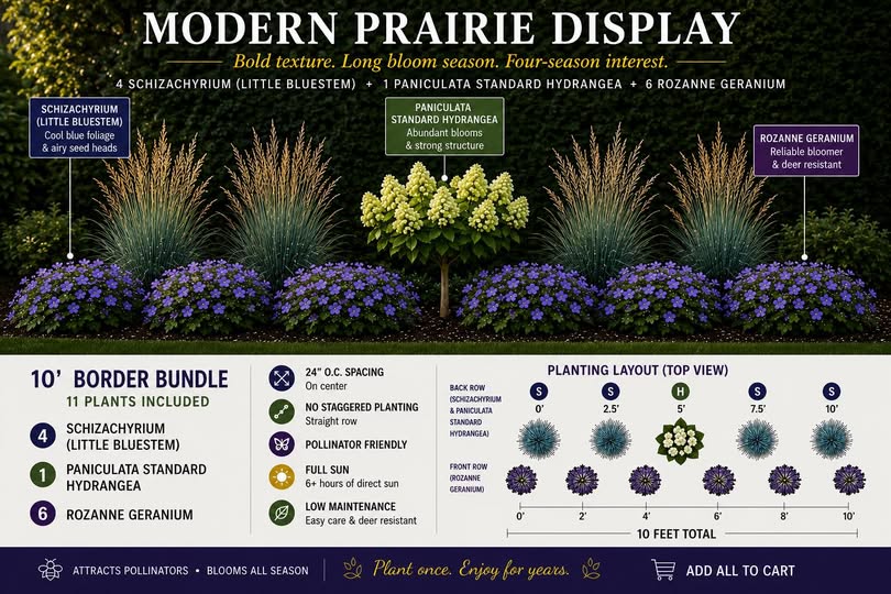 Modern Prairie Display