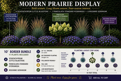 Modern Prairie Display
