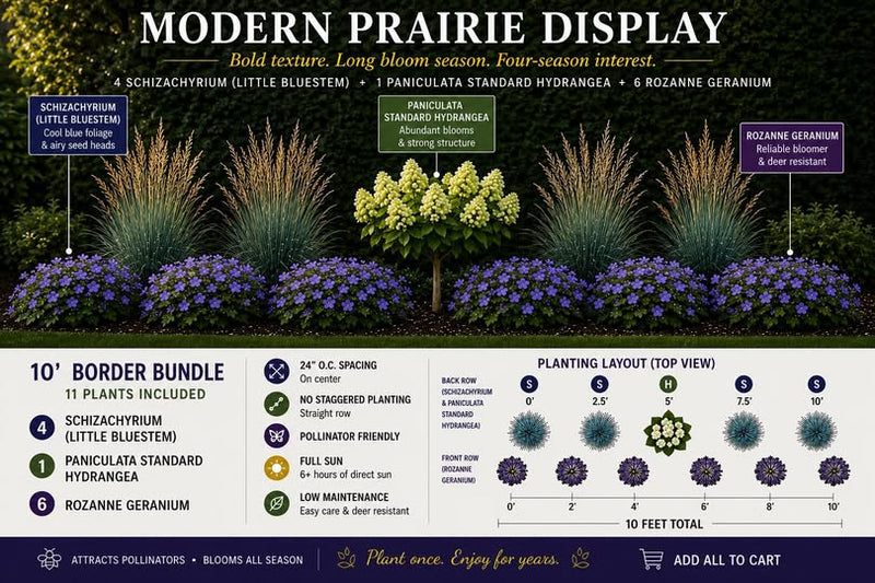 Modern Prairie Display