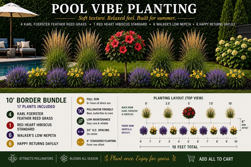 Pool-Vibe-Planting