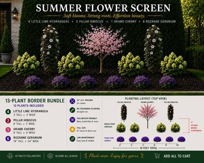 Summer Flower Screen