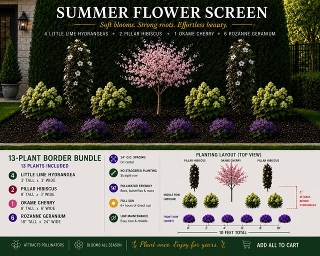Summer Flower Screen