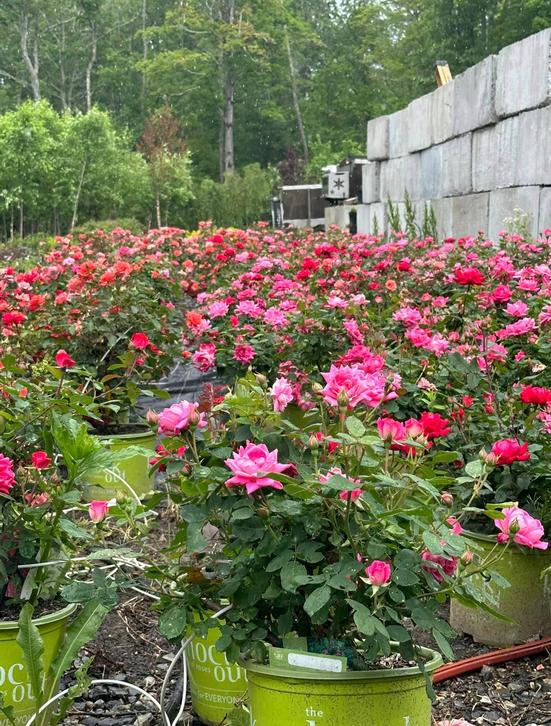 About ProGrowers About ProGrowers